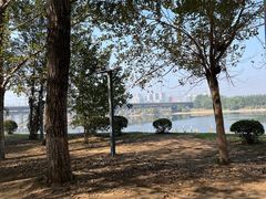 -长白岛森林公园