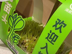-海底捞火锅(凯德广场店)