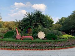 -金花茶公园