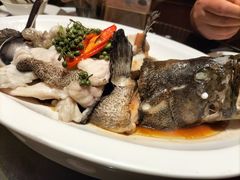 青花椒蒸龙胆鱼-闽和南(深圳万象城店)