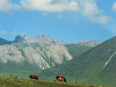 -新疆那拉提国家旅游度假区