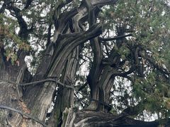 -偏爱炒鸡(老县衙店)