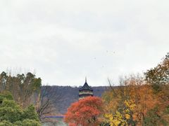 -灵谷景区