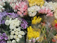 -循礼门鲜花花市(武汉循礼门店)