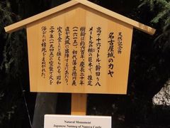 -名古屋城