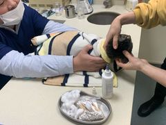 -奈斯宠物医院·核磁CT·异宠专科·内镜(中南店)
