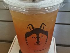 -TrueLove @ Neverland (Husky Cafe)