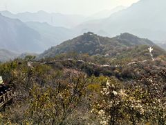 -大岭沟猕猴桃谷风景区