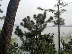 -东湖落雁景区