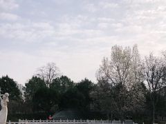 -丰台花园