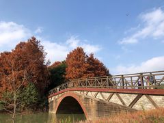 -上海海湾国家森林公园