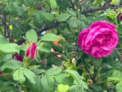 -潭柘厚院&山顶烤肉(潭柘寺店)