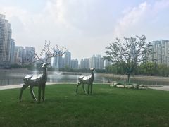 -西北湖绿化广场