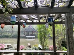 -上海醉白池公园