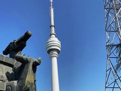 -龟山风景区-龟山电视塔