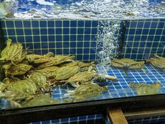 -碧海银沙海鲜餐厅(恒大海上威尼斯店)