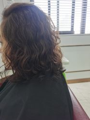 -镁连社·美联社