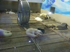 -台州海洋世界