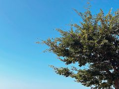 -长岛南北长山旅游景区