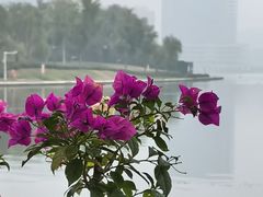 -瓦库茶馆37号(北龙湖店)