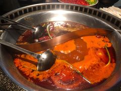 -辣伍鲜毛肚老火锅(元一店)