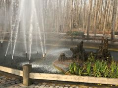 -合肥滨湖国家森林公园