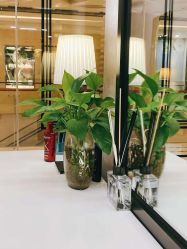 点击看大图 -PIONEER·韩式