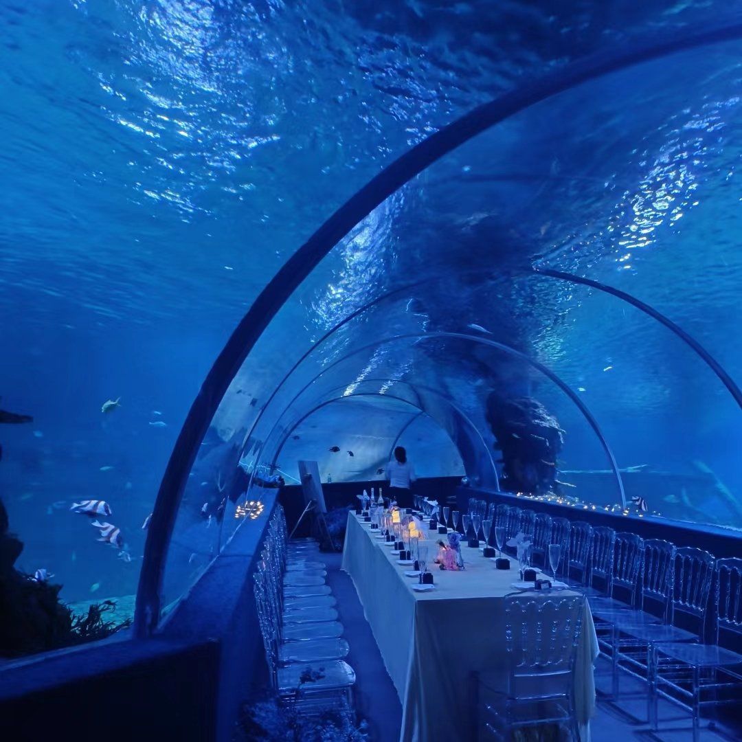 藏在南充市的海洋世界