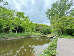 -上海滨江森林公园