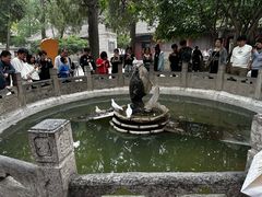-西安大兴善寺