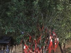 -张家港金凤凰度假村温泉