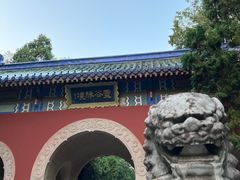 -灵谷景区