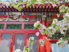 -海棠花溪(元大都城垣遗址公园)