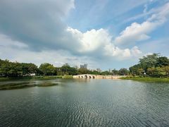 -荔湾湖公园