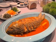 -阿五黄河大鲤鱼(英协路店)