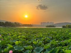 -云龙湖旅游景区
