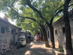 -北京市东四九条小学