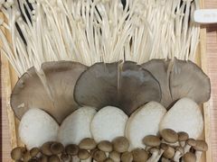 -蝎王府羊蝎子(西直门店)