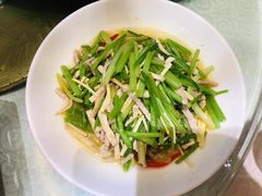 -四季春