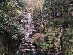 -十八棵（老龙井）御茶园(老龙井店)