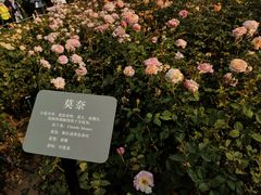 -立新湖公园