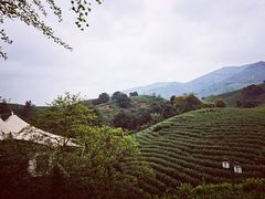 -帐篷客·溪龙茶谷度假酒店