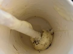 -茶百道(太原茂业天地店)