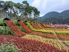 -广州市石门国家森林公园