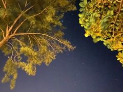 -马奴干岛