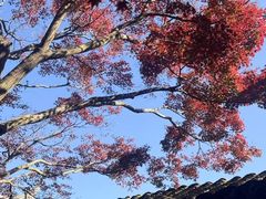 -无锡惠山寺