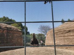 -平湖九龙山乐满地水上乐园