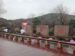 -香雪海