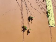 -西园寺