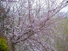 景点-元大都城垣遗址公园